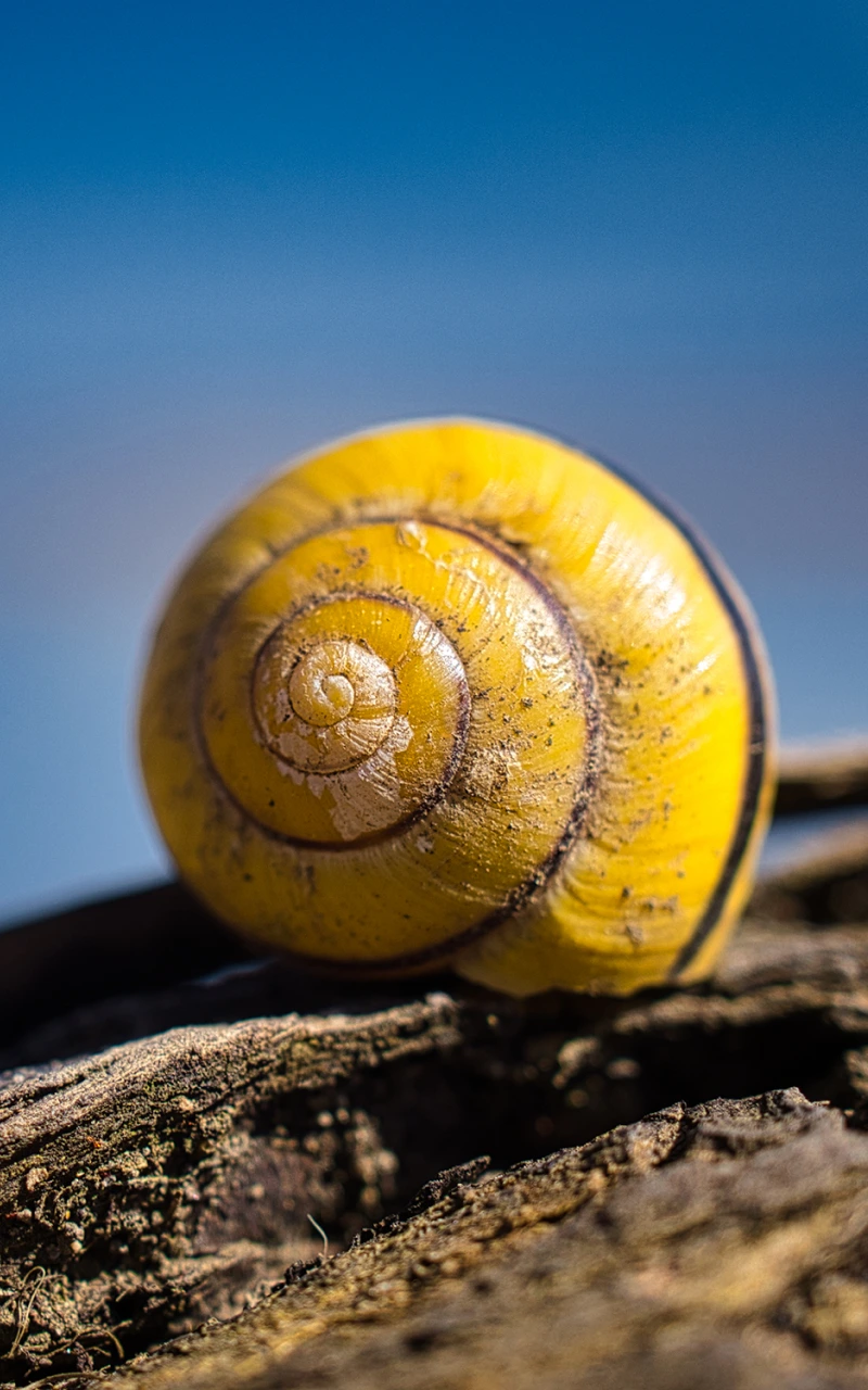 AI กำลังเขียนใหม่ SEO ของ B2B: คู่มือเชิงกลยุทธ์ใหม่สำหรับการมองเห็นในการค้นหา