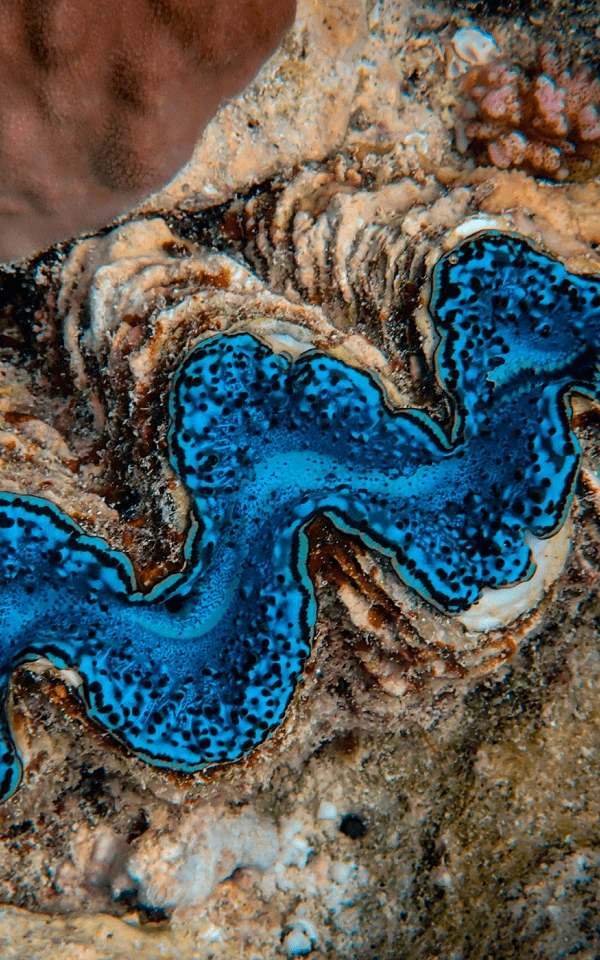 คู่มือของคุณในการใช้ AI ในการตลาดผ่านอีเมล