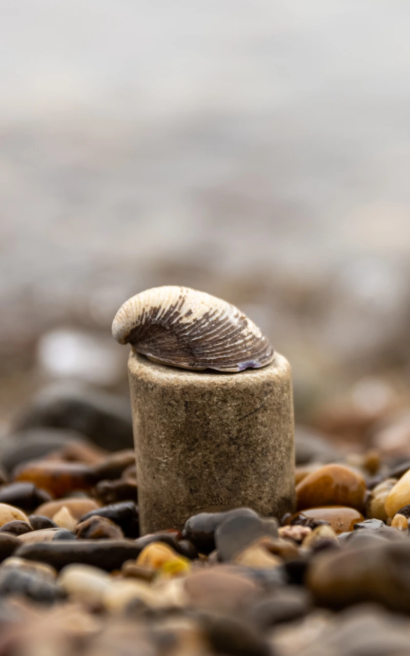 Generative Engine Optimization (GEO): ให้เนื้อหาของคุณถูกเลือกโดย AI