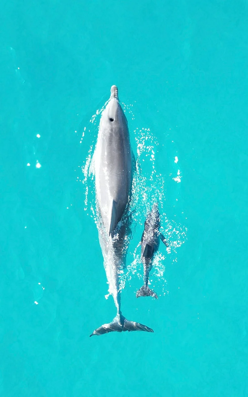 กลยุทธ์สื่อสังคมออนไลน์ B2B ของคุณตอนนี้กลายเป็นกลยุทธ์ AI