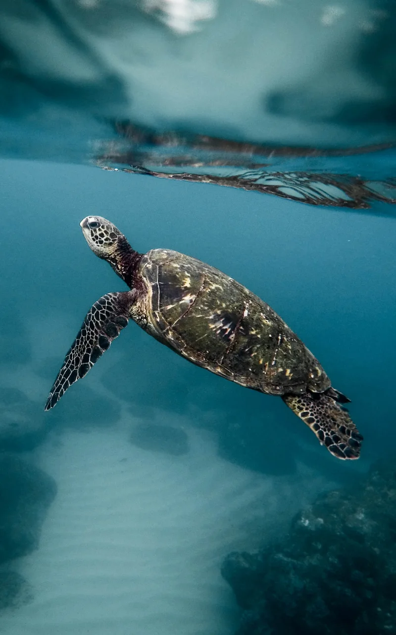 การตลาด B2B ในปี 2026: อะไรที่เปลี่ยนจริงและอะไรที่ไม่เปลี่ยน